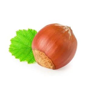 نهال فندق