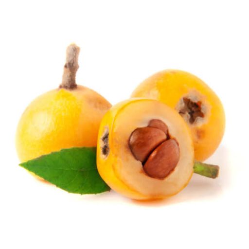 نهال ازگیل ژاپنی