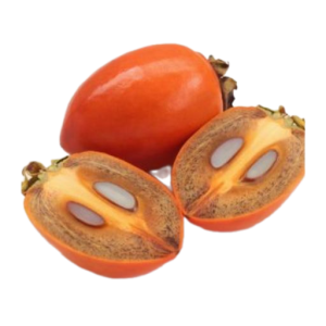 نهال خرمالو موزی