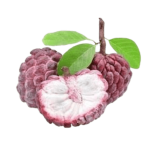 نهال شوگر اپل