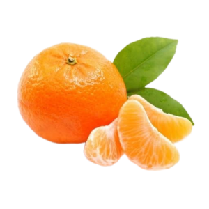 نهال نارنگی ژاپنی