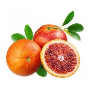 نهال پرتقال توسرخ (خونی)