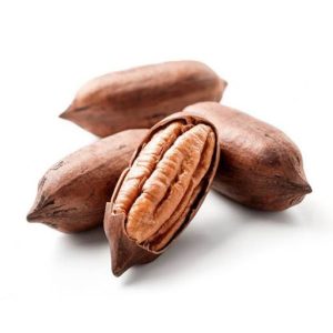نهال گردو پکان پیوندی